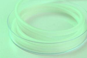 札幌市中央区でお勧めの歯医者について