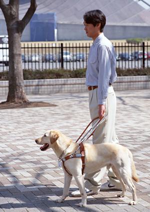 矯正治療を6つのステップにわけて紹介