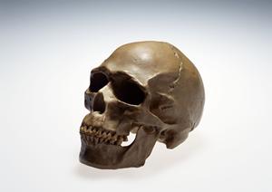 枚方の高血圧を治療できるクリニック