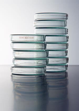 家族の健康を守る！東戸塚で信頼できる内科を徹底比較ガイド