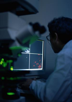 不育症治療に積極的な産婦人科クリニック